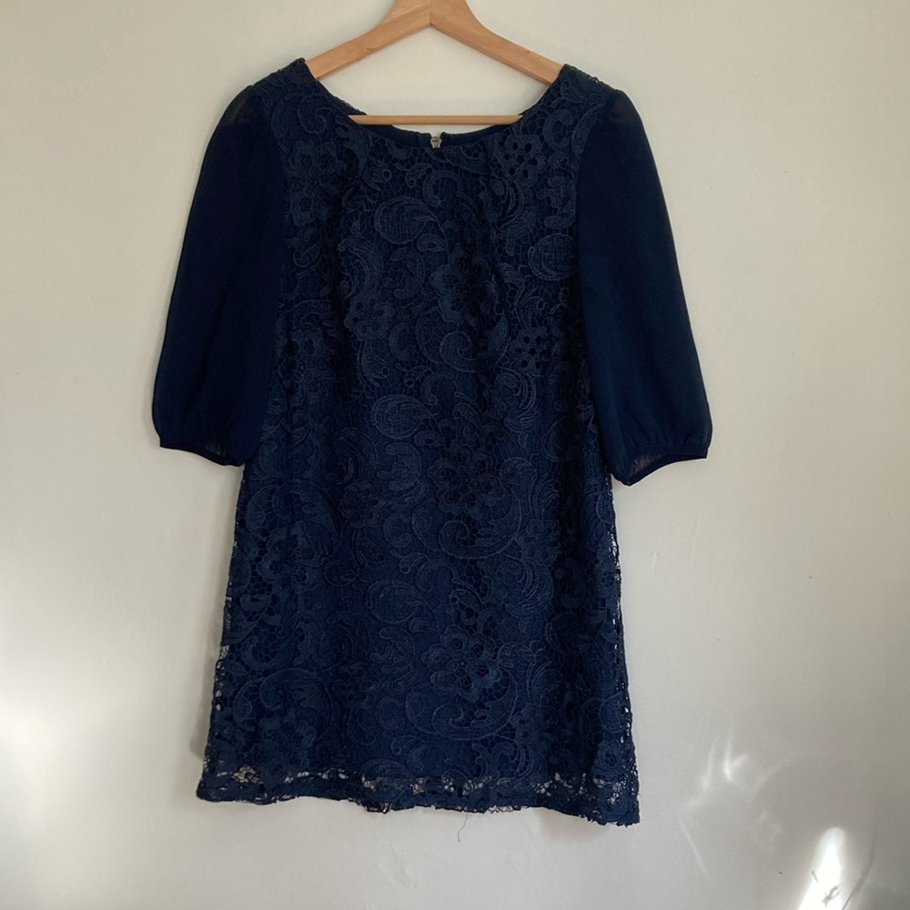 Lacey tunic dress with sheer sleeves